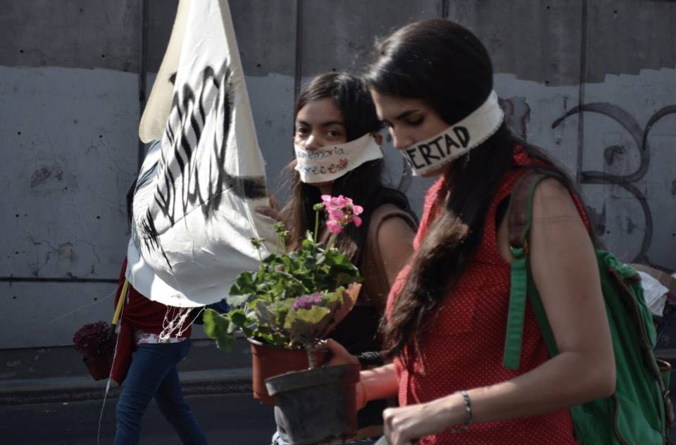 Desaparición de mujeres en México: un análisis de la crisis