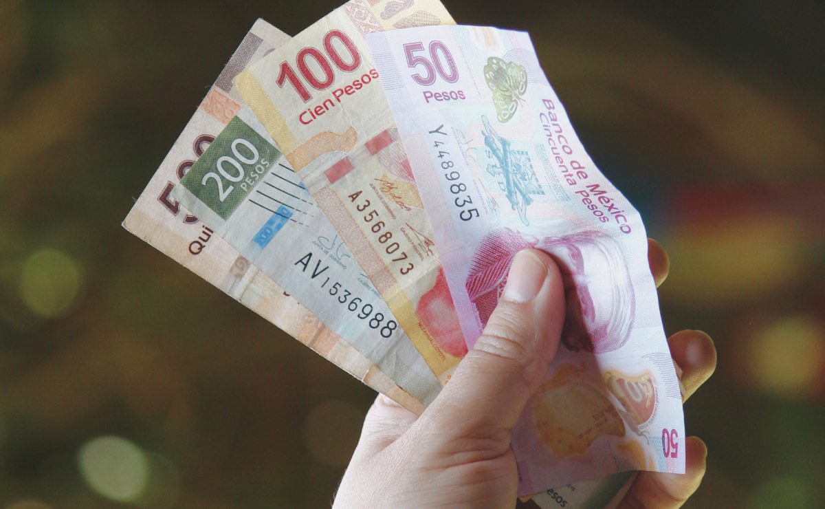 Deudores alimentarios de Veracruz no tendrán licencia de conducir