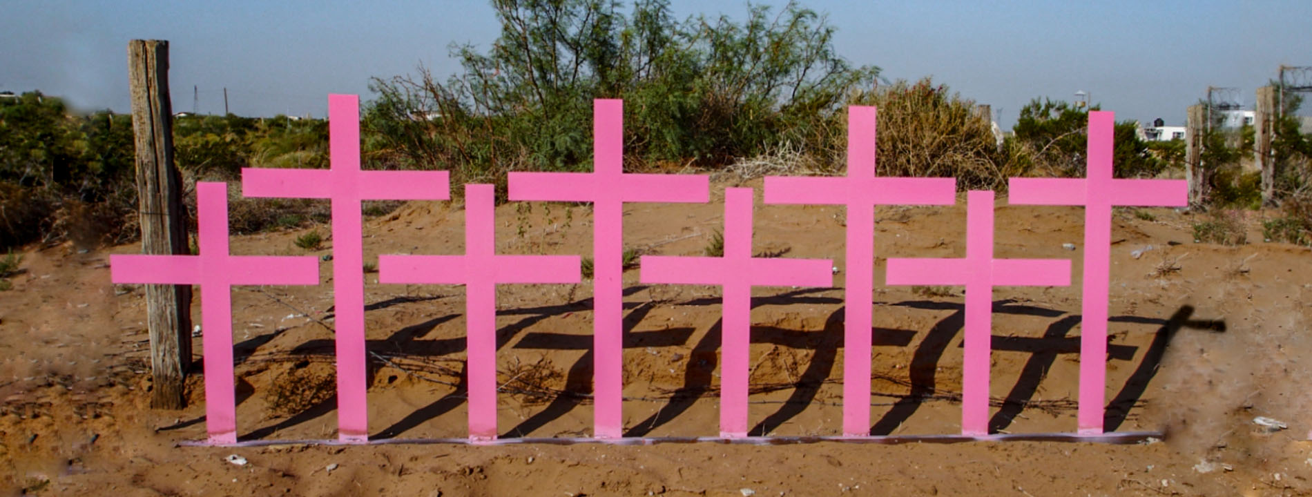 Ley General contra el, feminicidio 